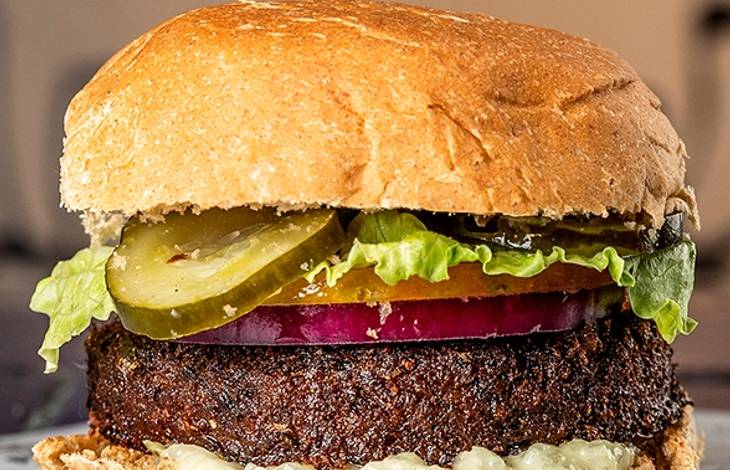Vinil Burger